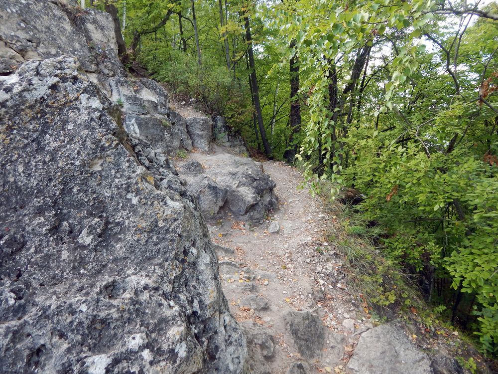 Фотография автора Валерий Цуркан