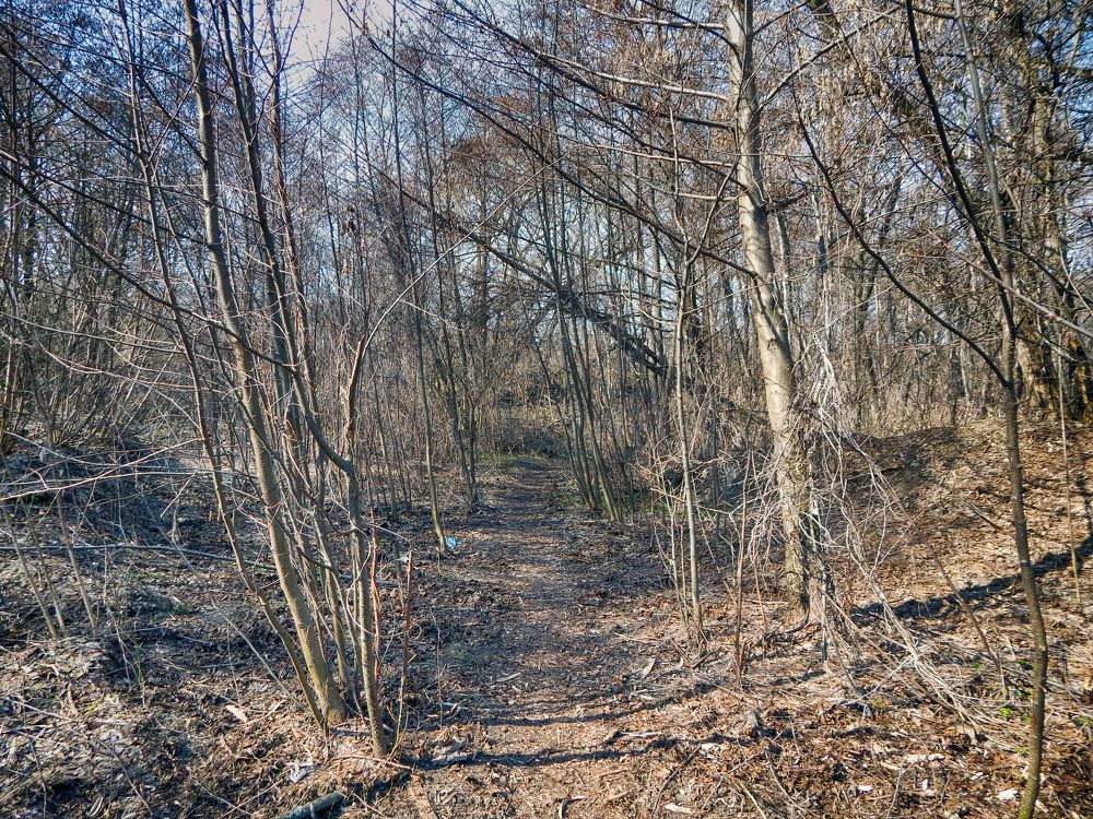 Фотография автора Валерий Цуркан