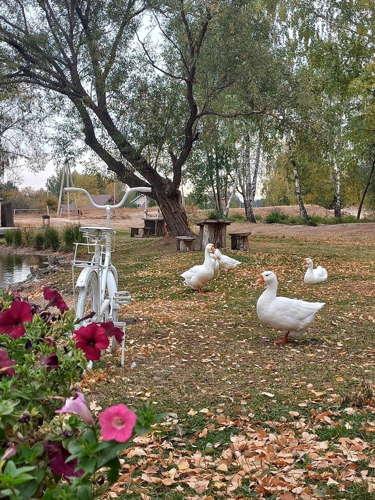 Photograph by Людмила Сотникова