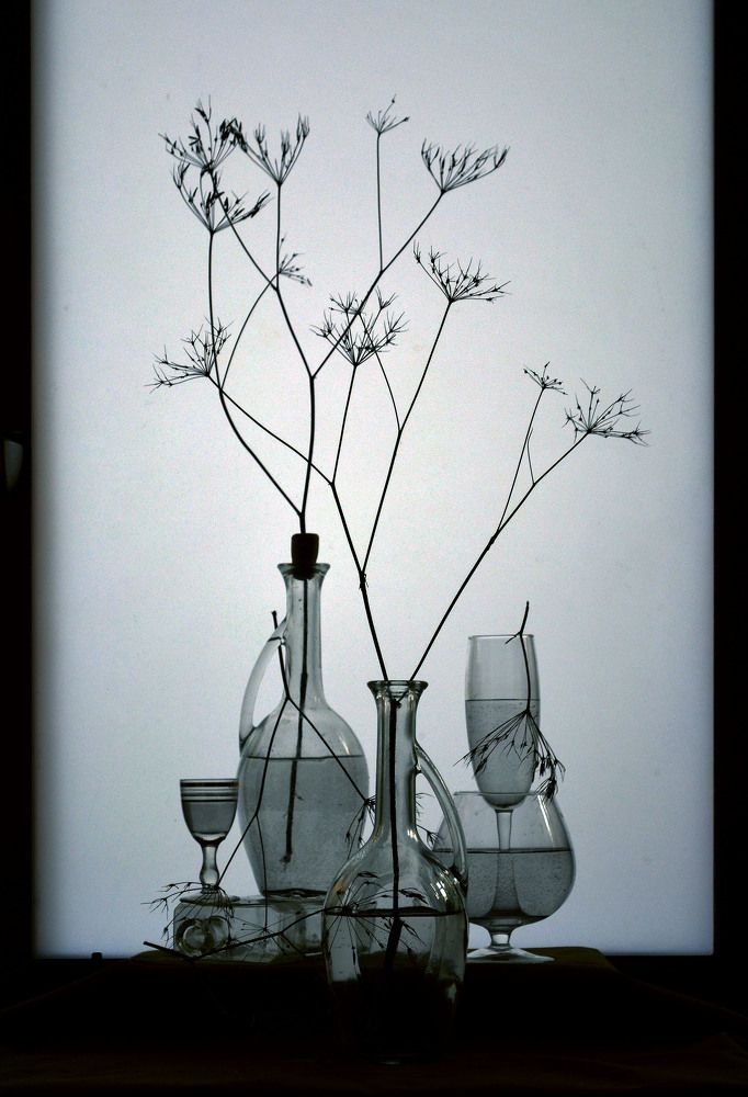 Photograph by Александр Зарх