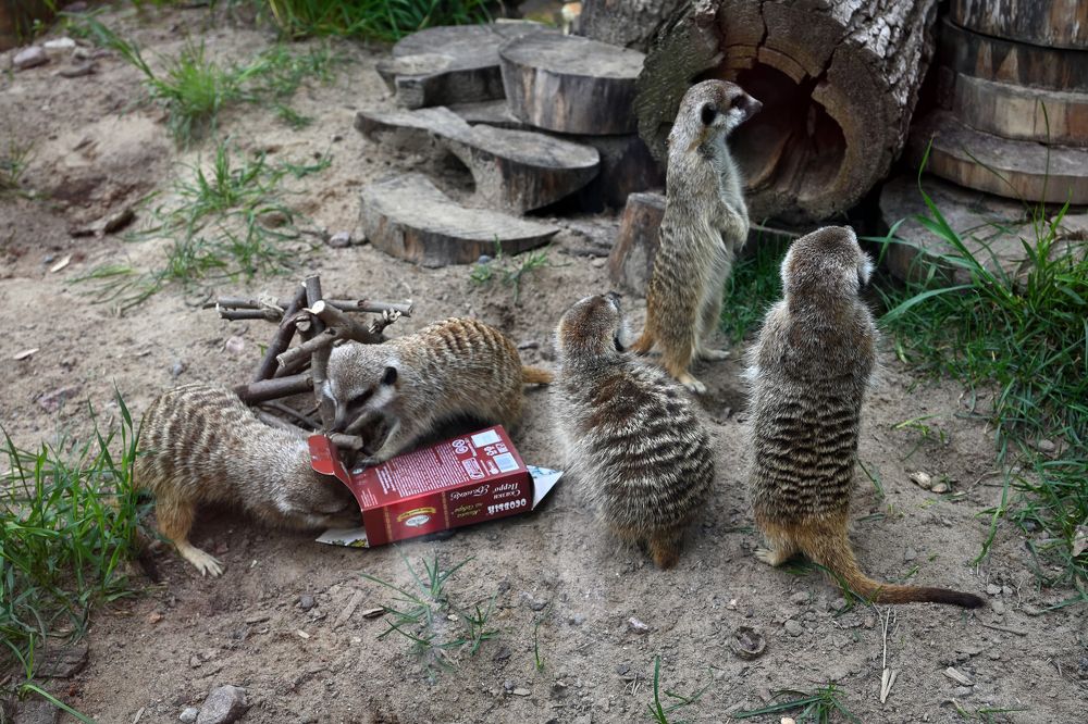 Photograph by Ирина Ященко