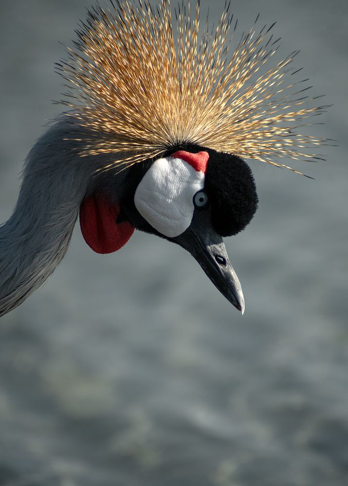 Photograph by Oxana Berezovskaya