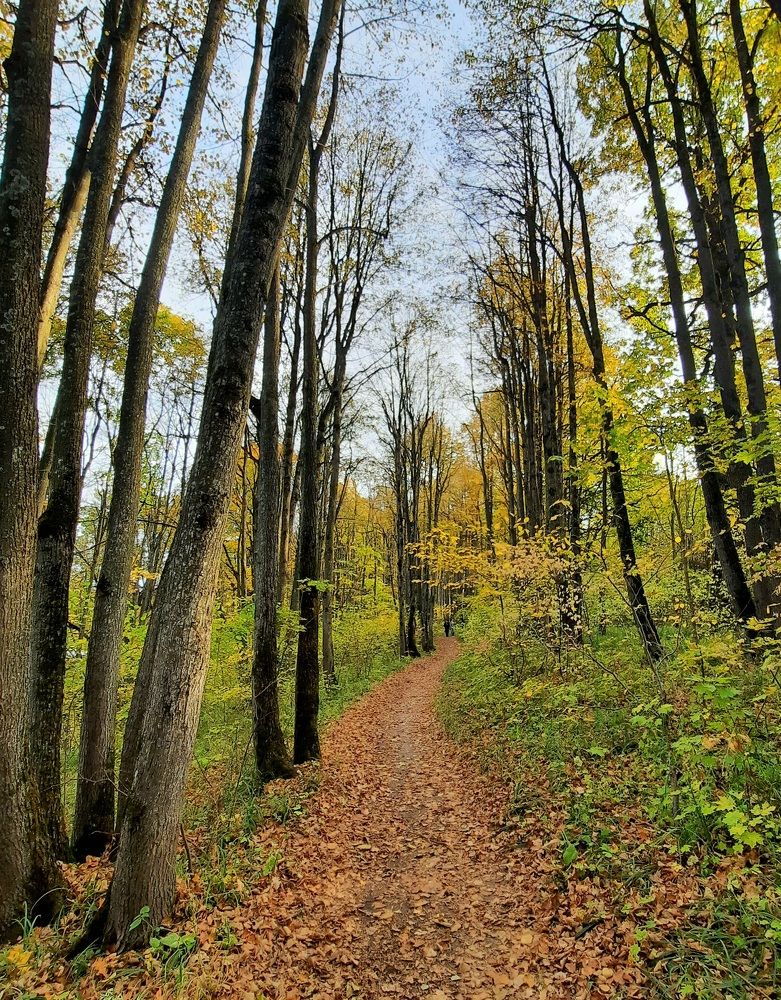 Photograph by Мирон Сергей