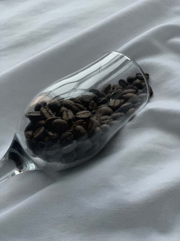 Photograph by гульназ замалеева