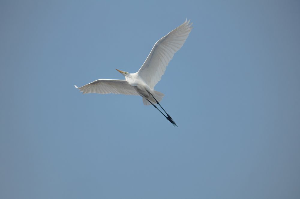 Фотография автора Devanand K S