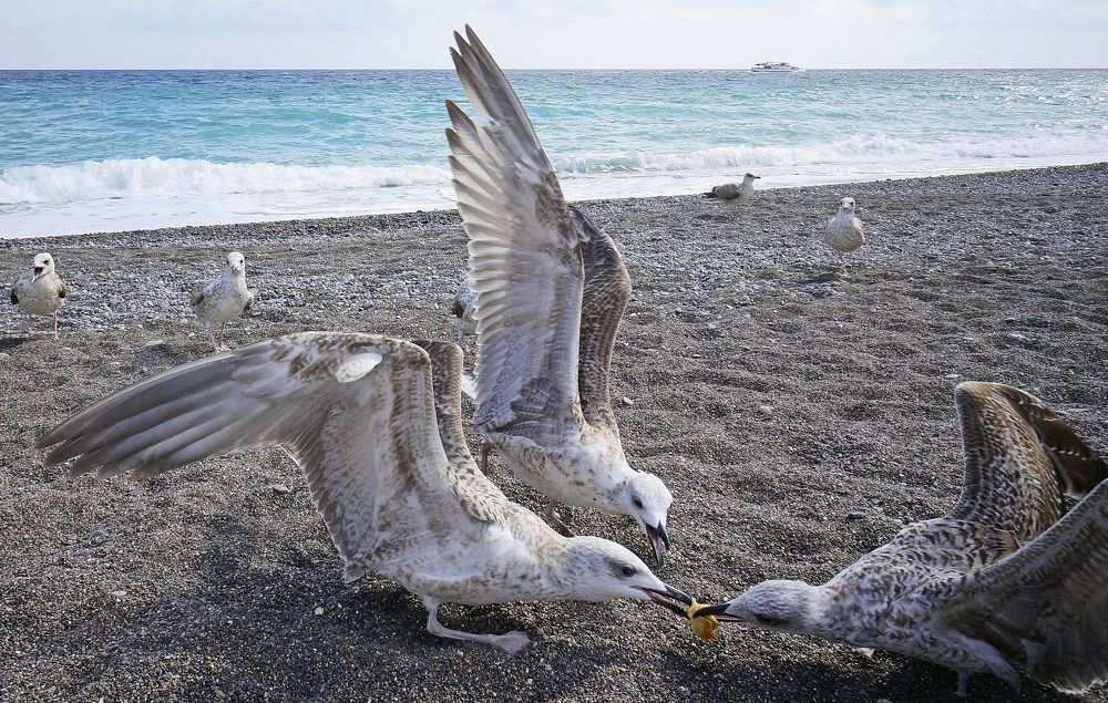 Photograph by Борис Соколов