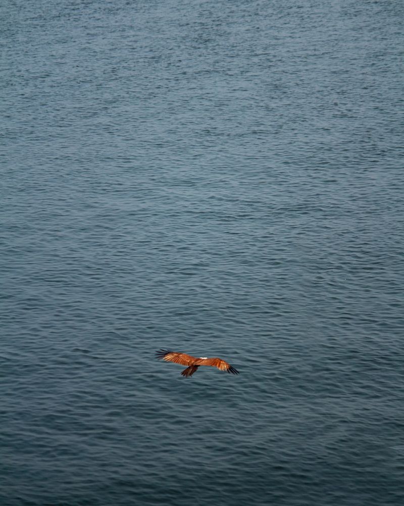 Photograph by Devanand K S