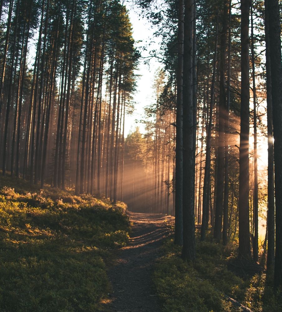 Photograph by Даниил Ларионов