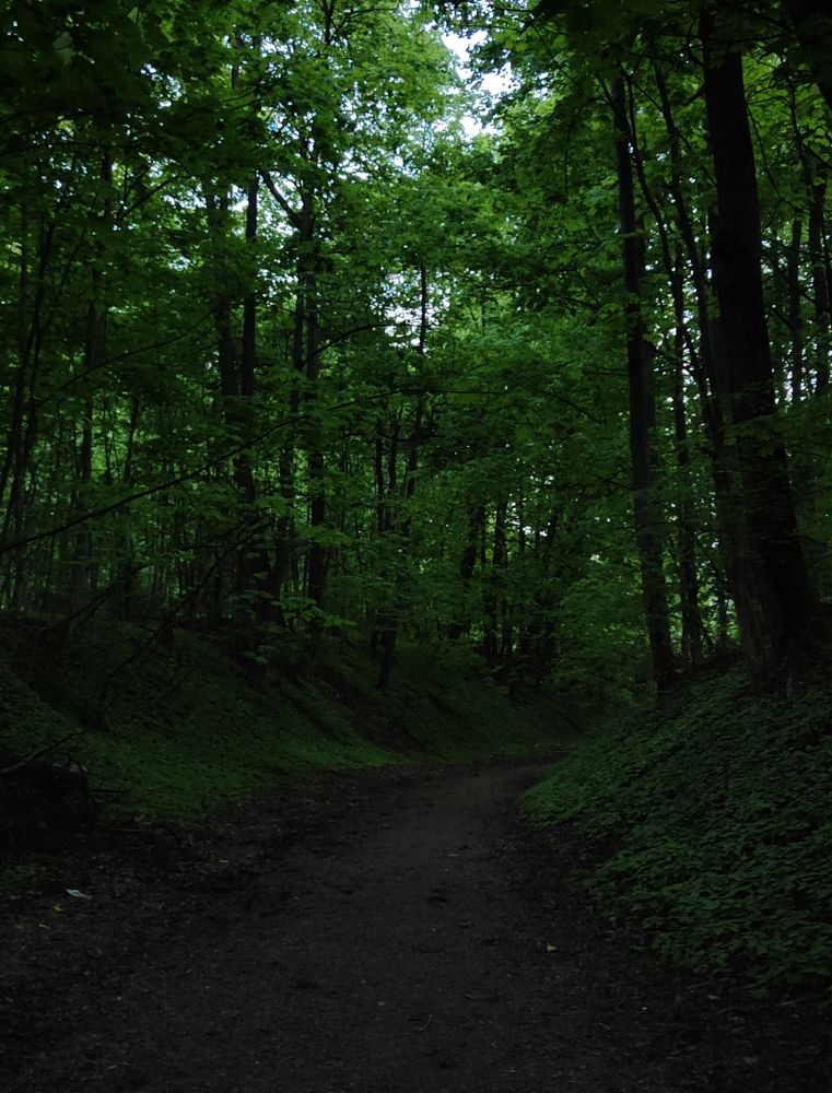 Photograph by Даниил Ларионов