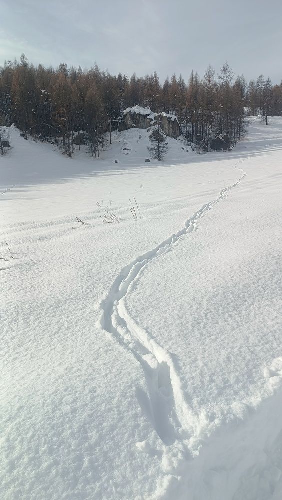 Photograph by Надежда Михайлина