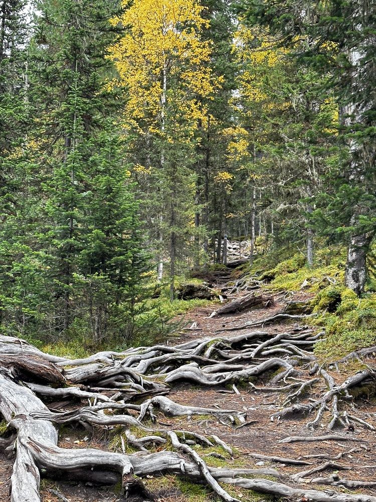 Photograph by Екатерина Курская