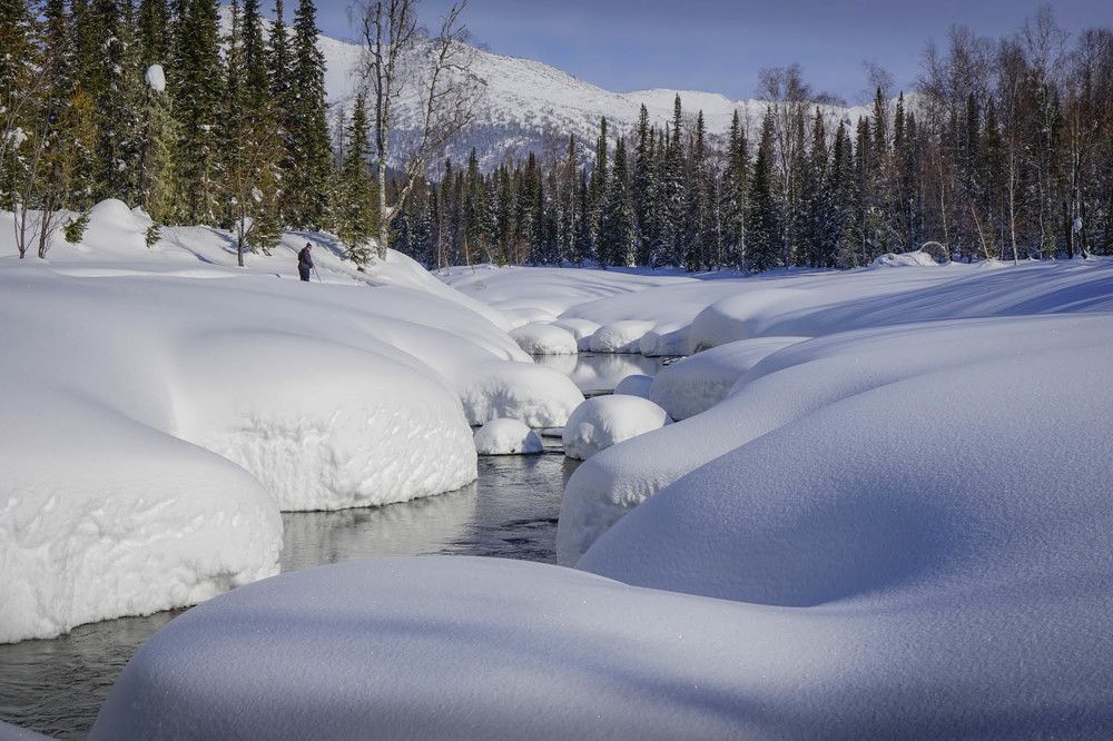 Фотография автора Татьяна Добровольская