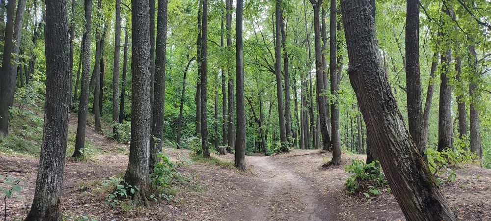 Photograph by Светлана Батурова