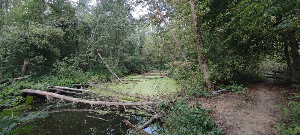 Photograph by Светлана Батурова