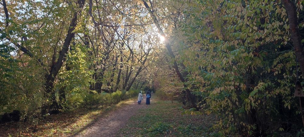 Photograph by Светлана Батурова