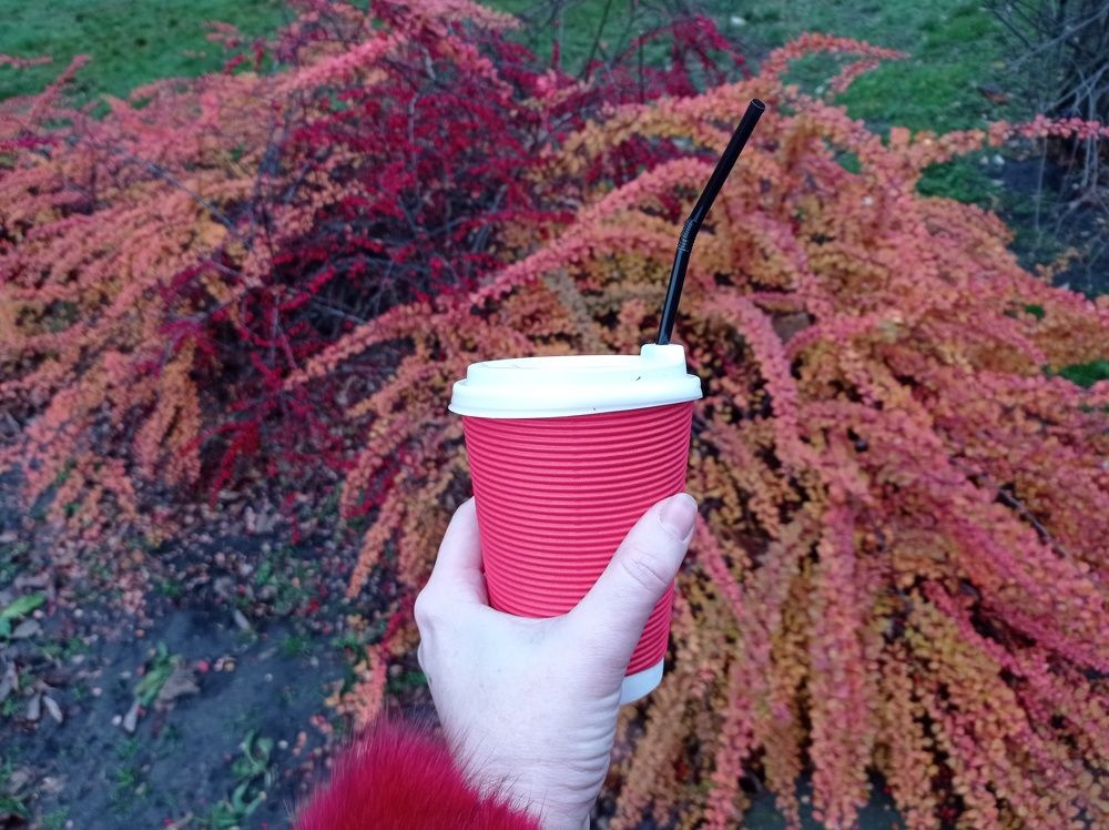 Photograph by Ирина Марченко