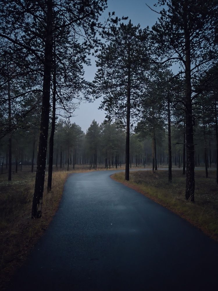 Photograph by Ольга Денисова