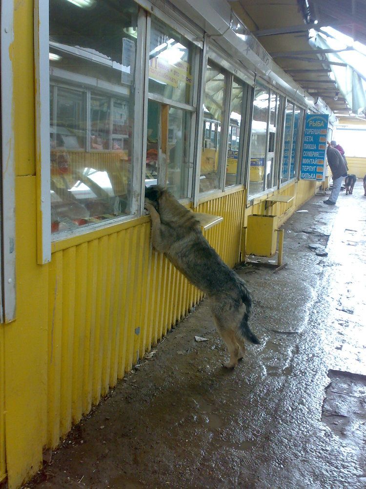 Photograph by Igor Shulkin