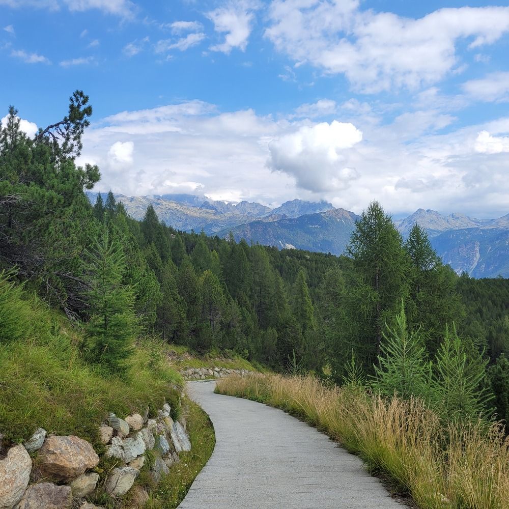 Photograph by Catherine Walter-Prêtre