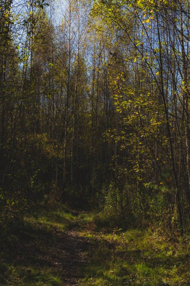 Фотография автора Ирина Гриценко