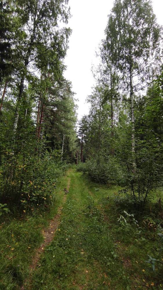 Фотография автора Марина Алексеевская