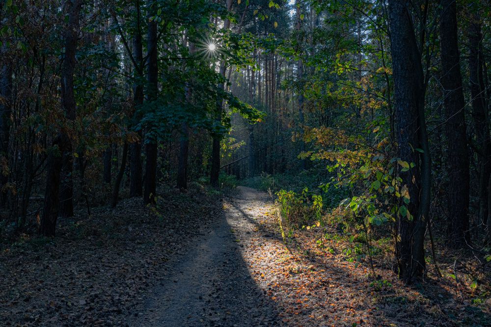 Фотография автора Ирина Гриценко