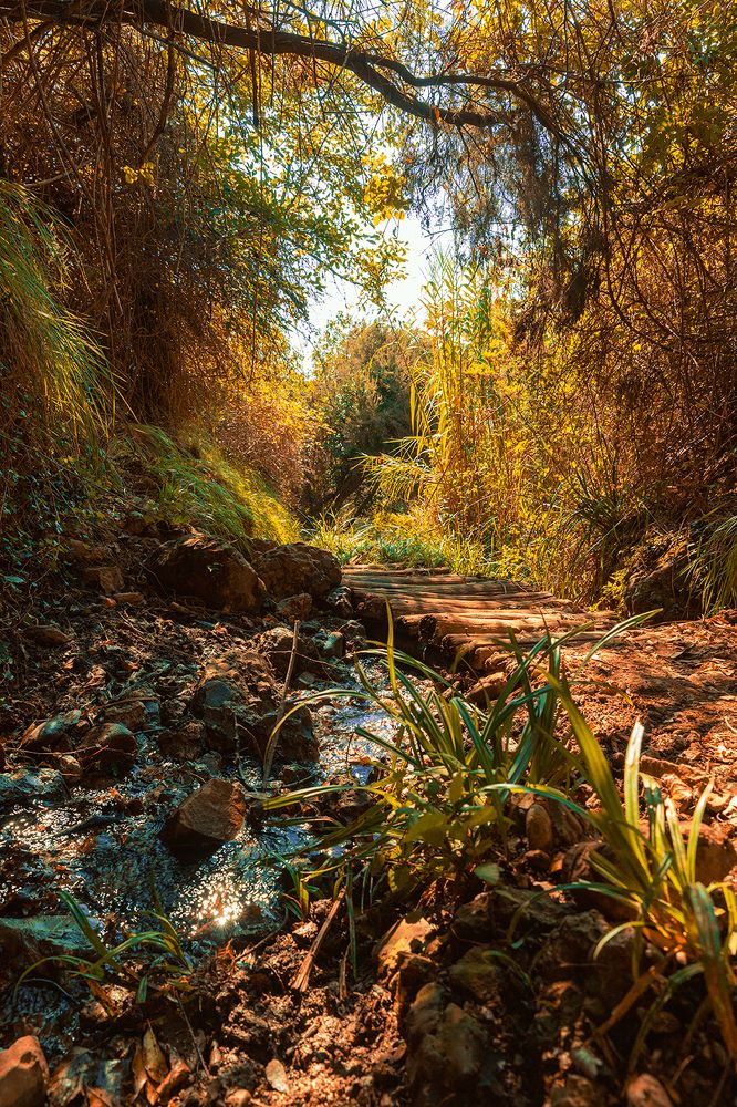 Photograph by Davide Mele