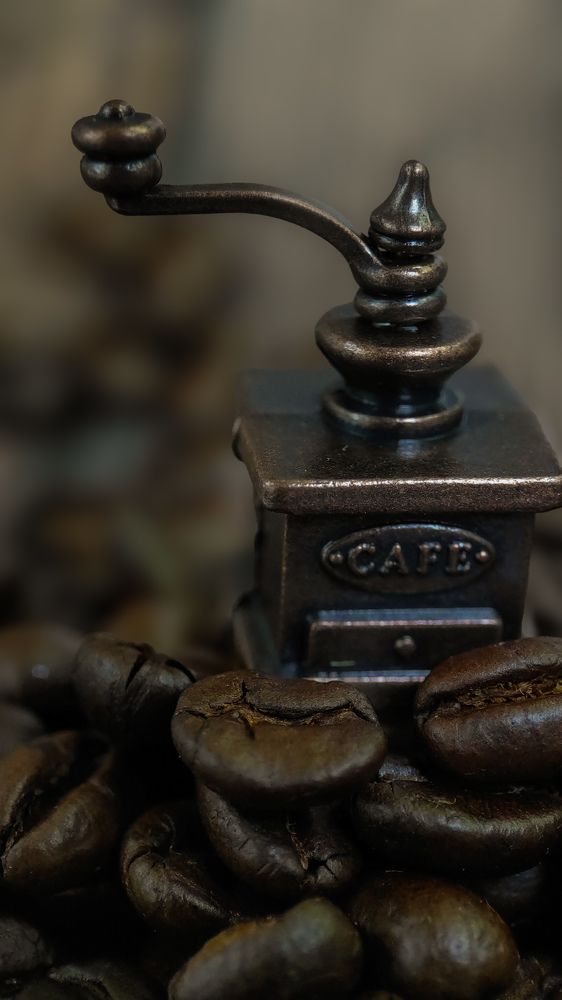 Фотография автора Марина Алексеевская