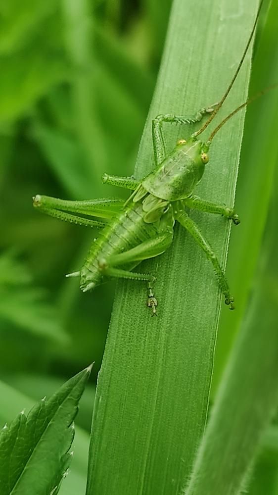 Фотография автора Марина Алексеевская