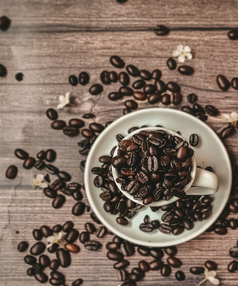 Фотография автора Светлана Алексеева