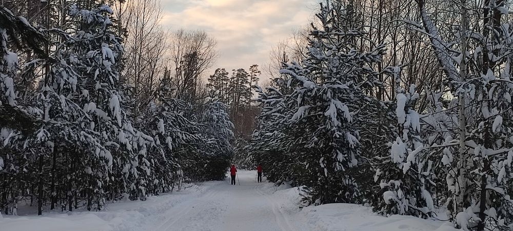 Photograph by Светлана Батурова