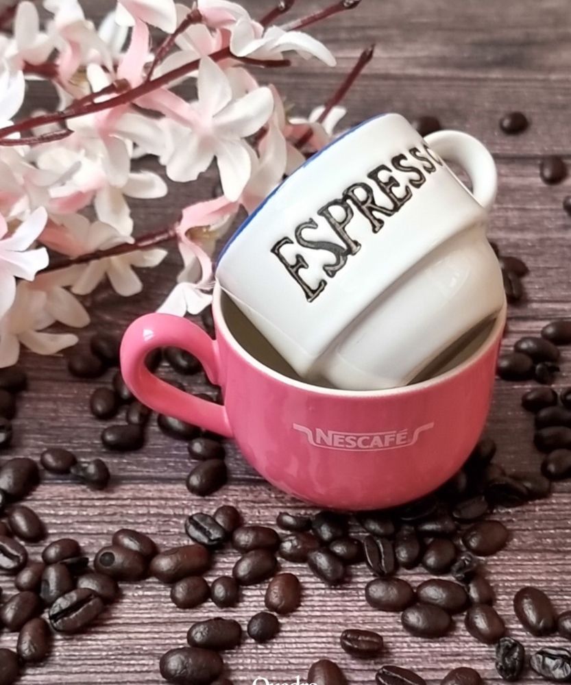 Фотография автора Светлана Алексеева