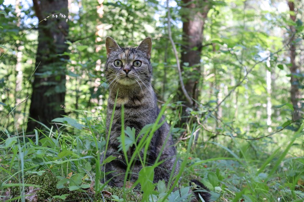 Photograph by Виктор Полуэктов