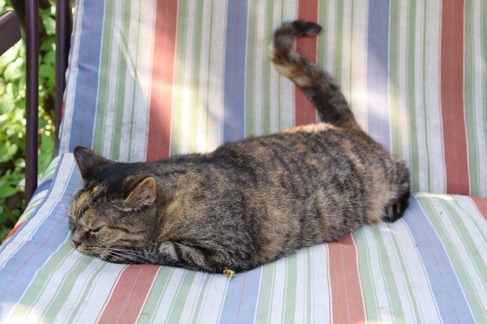 Photograph by Виктор Полуэктов