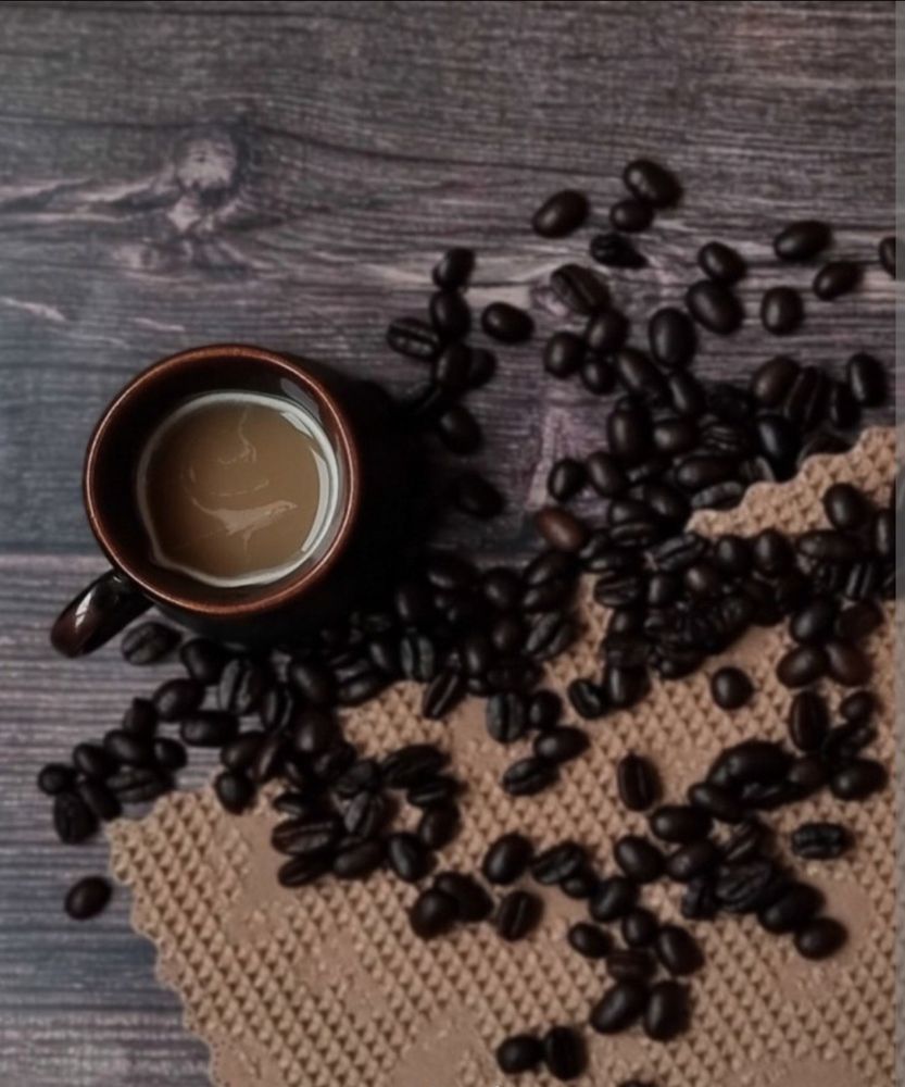 Фотография автора Светлана Алексеева