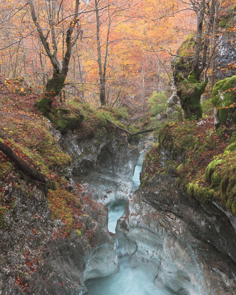 The hidden Gorge