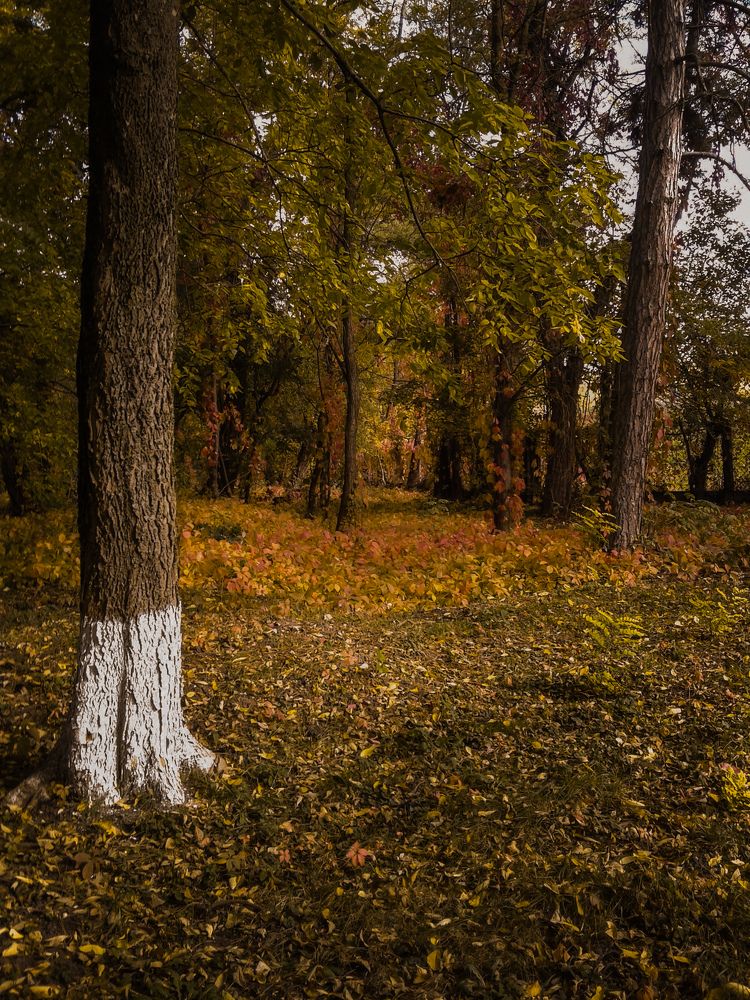 Фотография автора Даниил Барченко