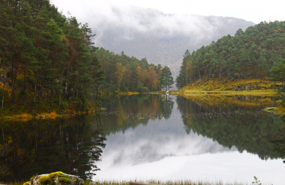 Photograph by Inese Firsova