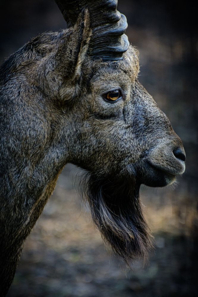 Photograph by Елена Берсенёва
