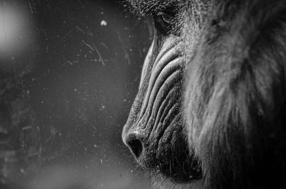 Photograph by Елена Берсенёва