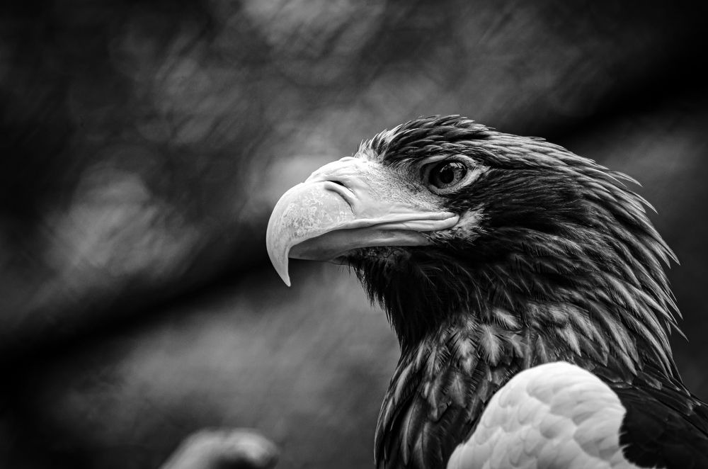 Photograph by Елена Берсенёва