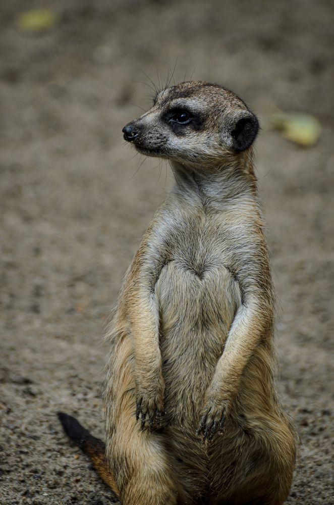 Photograph by Елена Берсенёва