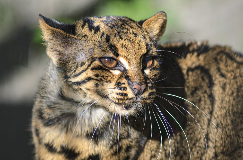 Photograph by Елена Берсенёва