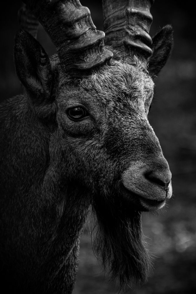 Photograph by Елена Берсенёва