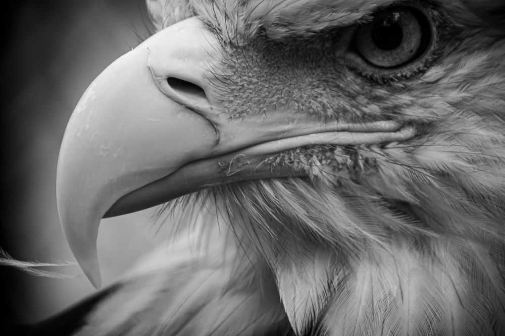 Photograph by Елена Берсенёва