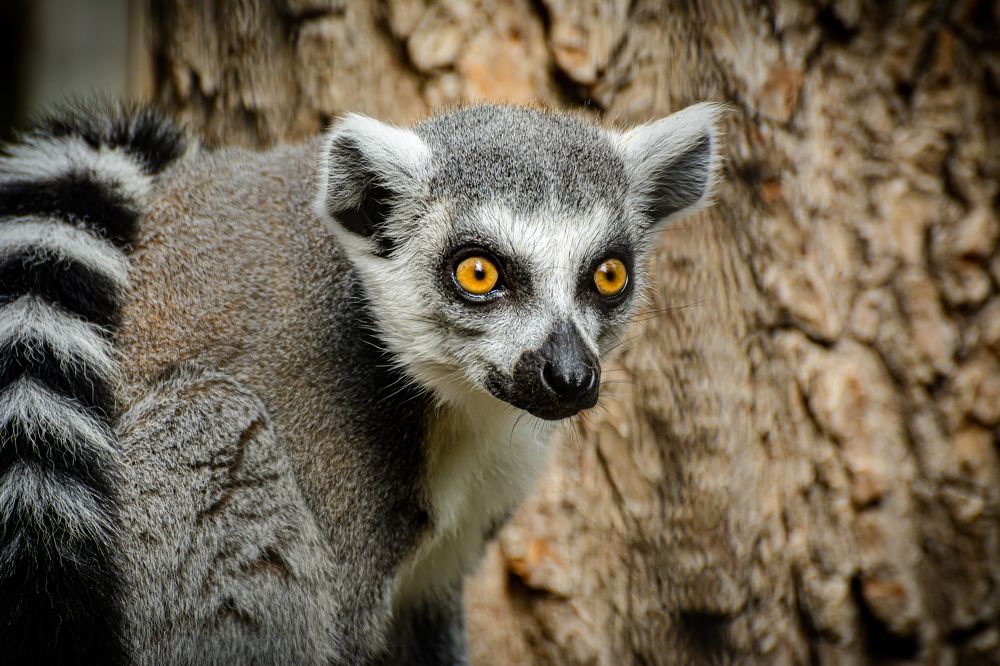 Photograph by Елена Берсенёва