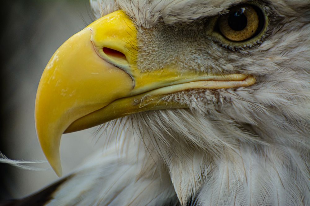 Photograph by Елена Берсенёва