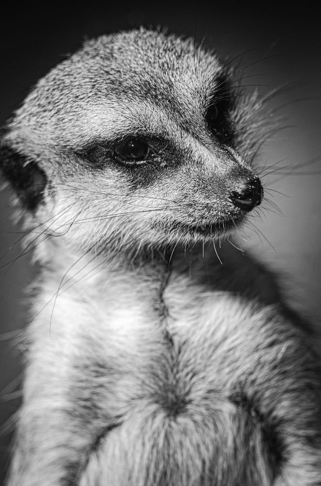 Photograph by Елена Берсенёва