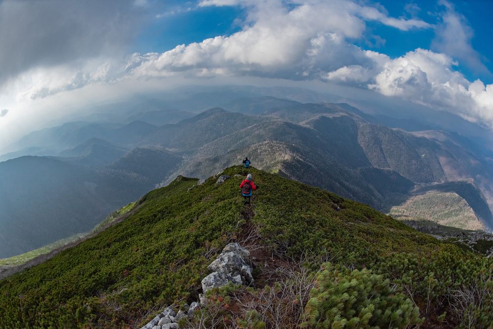 Photograph by Ксения Далишнева