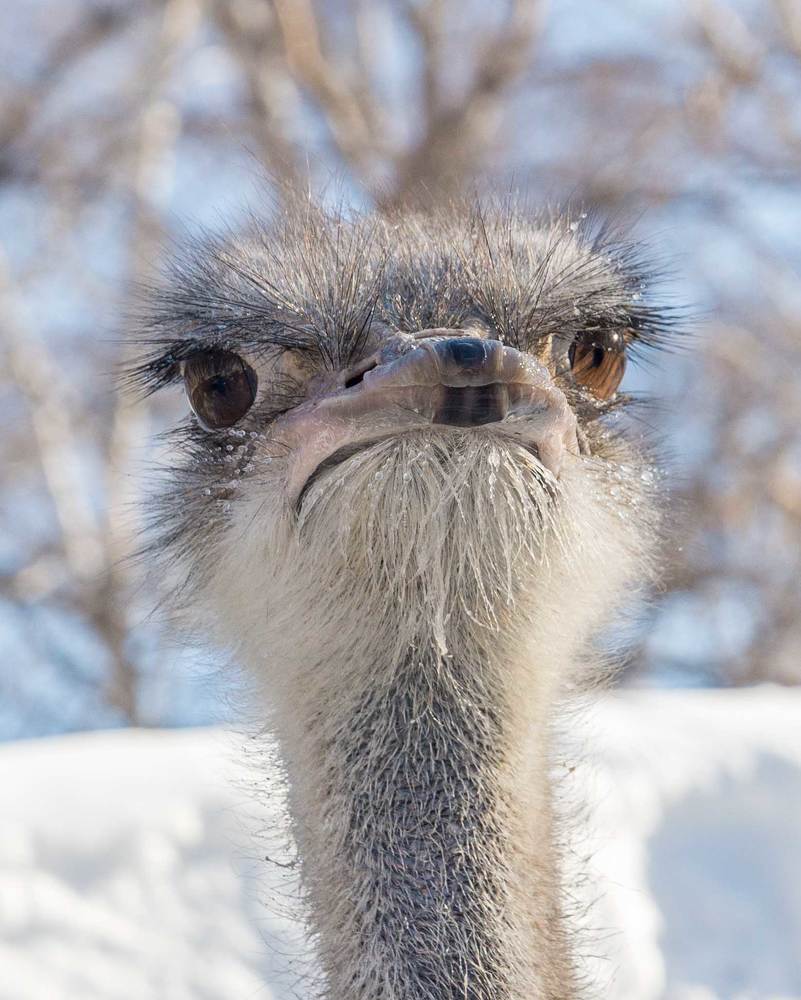 Photograph by Владимир Зубов